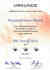 Drei Helme f�r unsere Internetseite