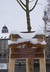 Gedenktafel Gr�nfl�che Wallstra�e, in Berlin - Mitte