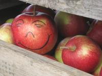 Die Mrs.Sporty Bauch-Weg-Studie