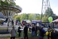 Kunstverein-Buchholz/Nordheide - INSEKTARIUM