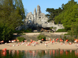 Tierpark Hagenbeck