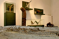 Moses W. 2011 - 2012 LIVE