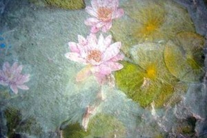 Ausstellung "Wolken, Wesen, W&auml;nde"