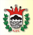39. Gro&szlig;sch&ouml;nauer Fasching
