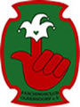 33. Olbersdorfer Fasching