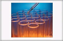  RIOL CHEMIE GmbH