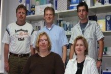 Team Bruns-Kartonagen