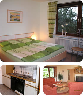 Das Ferienhaus HUS ELVKIEKER