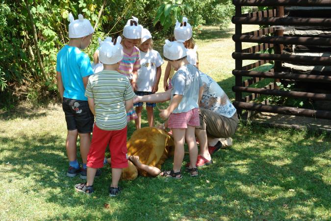 0203-Befreiung-der-Zicklein-03.jpg