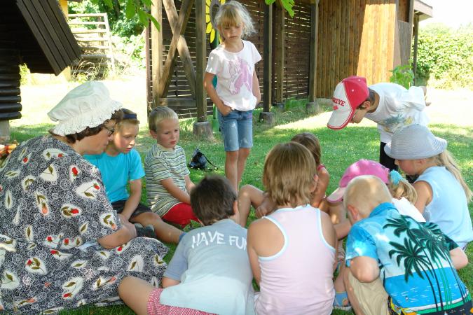 0305-Kaeferraten-08.jpg