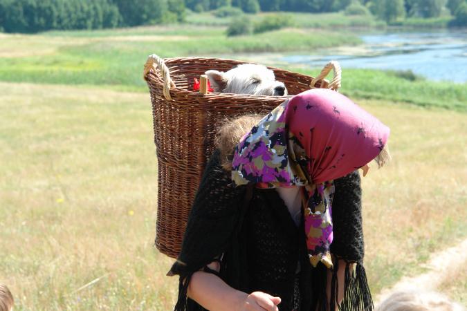 0503-Hund-im-Korb.jpg