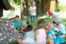 0305-Kaeferraten-08.jpg