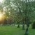 Schlosspark Sondershausen