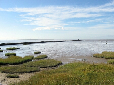 Wattenmeer (Nordsee) Weltnaturerbe seit Juni 2009