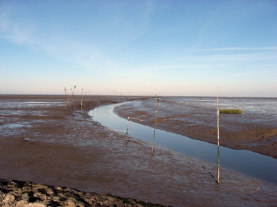 Wattenmeer (Nordsee) Weltnaturerbe seit Juni 2009