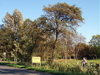 Oxstedt