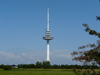Süderwisch / Westerwisch