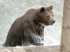 Zoo in der Wingst