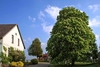 Gemeinde Loxstedt