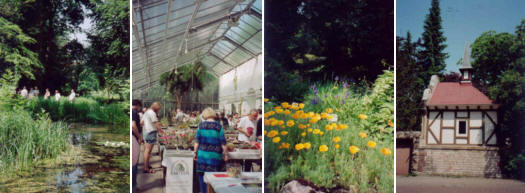 Der Botanische Garten der Universit�t G�ttingen