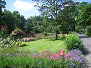 Rosarium G�ttingen