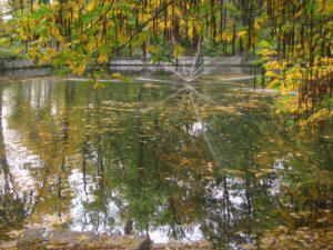 Schw�nschen Lake G�ttingen