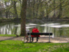 Schw&auml;nchenteich G&ouml;ttingen