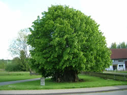 Gemeinde P�hlde