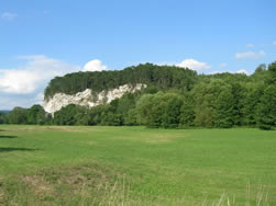 Gemeinde Neuhof
