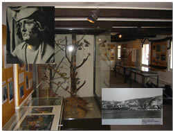 Museum at the Ritterhaus Local Museum 