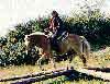 Westernreiten im Peiner Land
