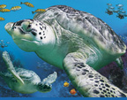 SEA LIFE Gro�aquarium in Hannover