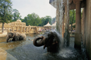 Der Zoo Hannover  -  Europas Nr. 1 - 