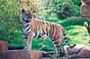 Zoo Hannover