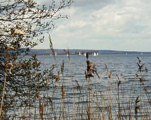Naturpark Steinhuder Meer