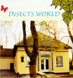 Insektenmuseum Steinhude