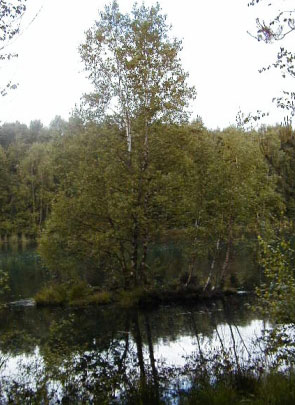 Altwarmb�chener See - Gemeinde Isernhagen