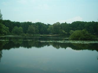 Waldsee in H�melerwald