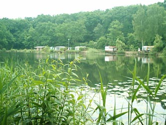 Waldsee in H�melerwald