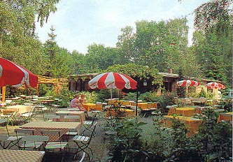 Waldsee in H�melerwald