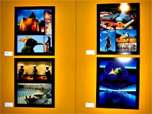 Exposeeum