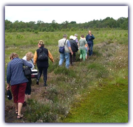 Where does the name Teufelsmoor (devil's bog) actually originated?