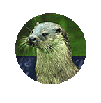 Initiative Rettet den Otterstedter See