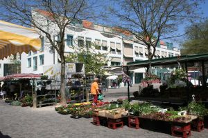 Achimer Wochenmarkt 