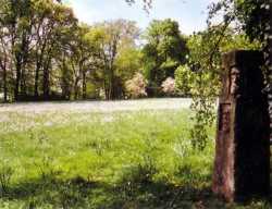 Schlossparkverein Etelsen e.V.