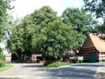 Ortschaft Stedorf
