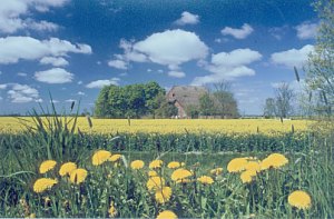 Die Halbinsel Eiderstedt