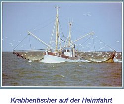 Husum die graue Stadt am Meer
