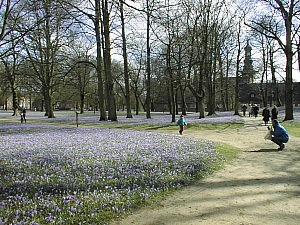 Husum die graue Stadt am Meer