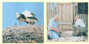 Der Westk�stenpark St. Peter-Ording